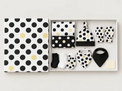 Dot Theory Gallery Box, box open with every piece laid out