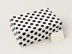 Dot Theory Grand Opening Box, box closed with its printed lid