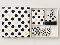 Dot Theory Hello Box, box open with every piece laid out
