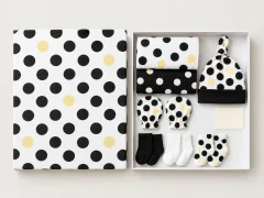 Dot Theory Welcome Box, box open with every piece laid out