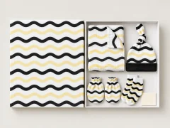 Wave Hall Hello Box, box open with every piece laid out